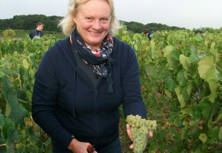 Vendanges en Champagne : Le Mesnil, de l’Arc au sécateur