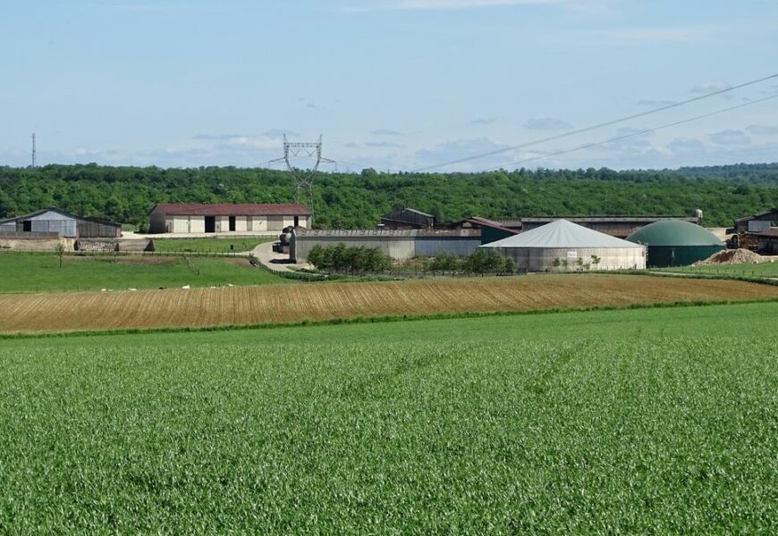 Du bail rural au statut du fermage Du bail rural au statut du fermage