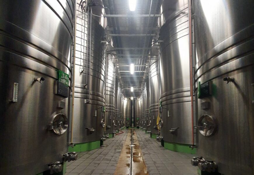 Premier bilan champagne : des vignerons comblés