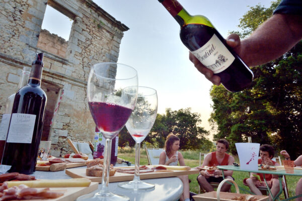 La filière viticole alerte sur un risque de « plan social massif », lié à la déconsommation de vin. Des remises en question s’imposent, d’après le Cniv et Vin & Société