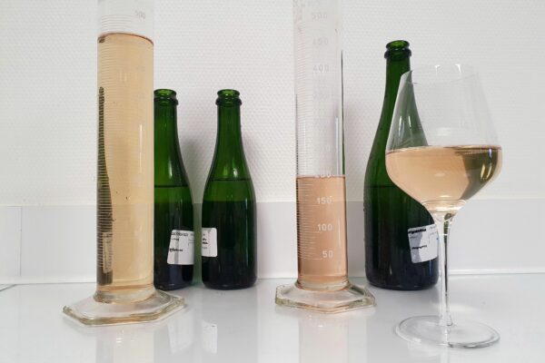 Champagne : la générosité olfactive et gustative des vins clairs 2022