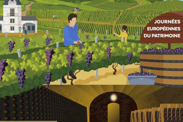 Champagne : à la découverte des patrimoines viticoles méconnus