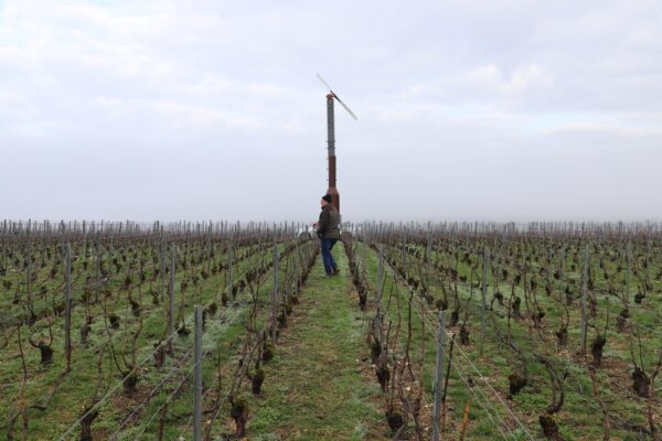 Champagne : une tour qui diffuse de l’air chaud à Pierry