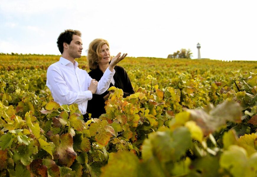 Vue imprenable sur la montagne de Reims