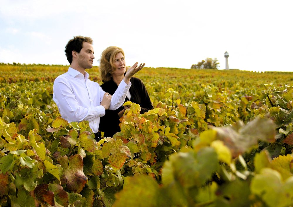 Reims La Marne Viticole Virginie Taittinger a su se forger un prénom sur le terroir emblématique de la Montagne de Reims, et entend bien sublimer ses efforts par le biais de l’œnotourisme. Vue imprenable sur la montagne de Reims