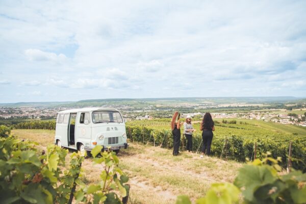 Champagne : vous ferez bien un tour dans les vignes ?