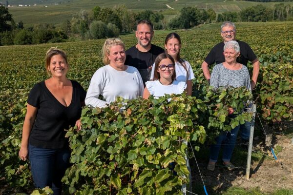 Vendange à Romery : la bonne ambiance conservée malgré une récolte compliquée