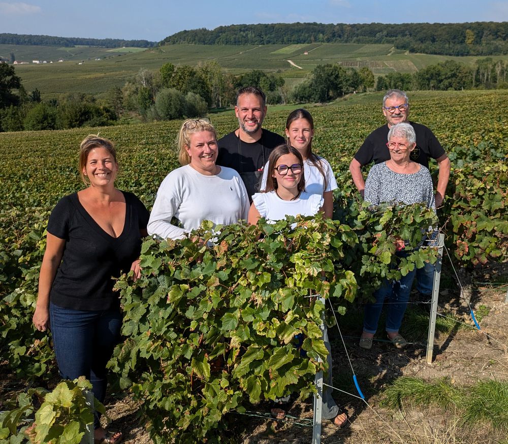 Reims La Marne Viticole Vendange à Romery : la bonne ambiance conservée malgré une récolte compliquée Dans beaucoup de communes de l’appellation, la vendange 2024 a confirmé ses faiblesses. La récolte compliquée n’a toutefois pas altéré l’esprit convivial de l’événement, comme au champagne familial José Marc à Romery. Les vendangeurs locaux et la fidèle équipe polonaise étaient heureux de se retrouver.