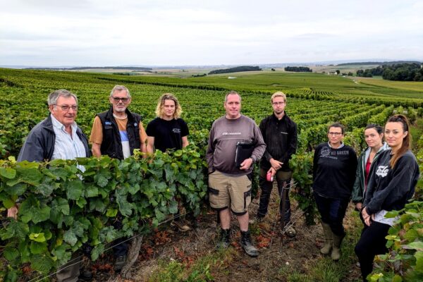 L’exemple d’une mobilisation contre la flavescence dorée dans la Montagne de Reims