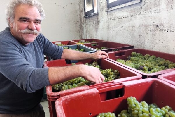 Michel Rocourt dans le vif du sujet au Mesnil-sur-Oger