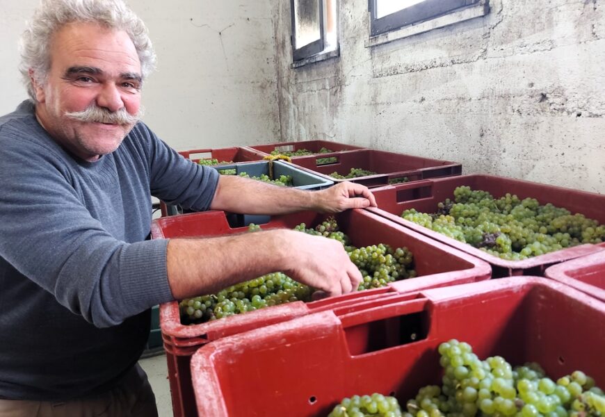 Michel Rocourt dans le vif du sujet au Mesnil-sur-Oger