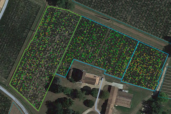 Marne : des capteurs intelligents au service du vignoble