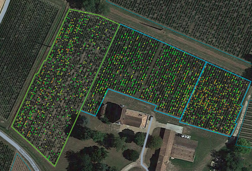 Marne : des capteurs intelligents au service du vignoble