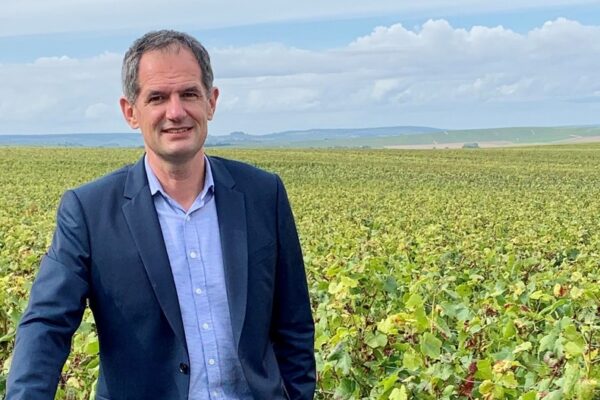 Mailly Grand Cru : des corridors écologiques à l’échelle du village