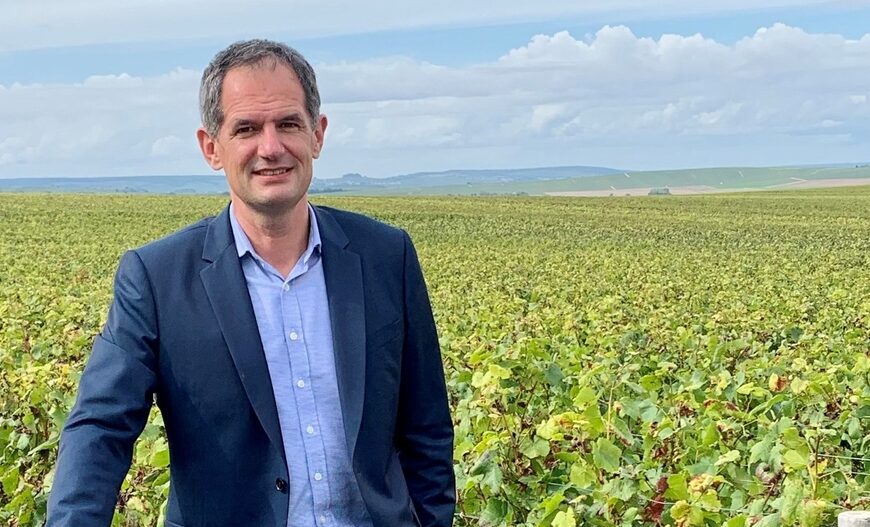 Mailly Grand Cru : des corridors écologiques à l’échelle du village