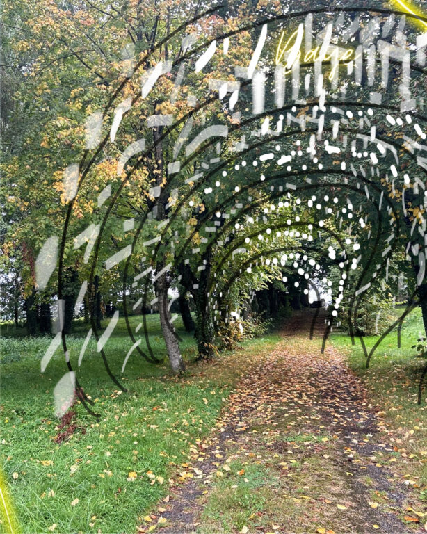 Reims La Marne Viticole Vign'Art met en lumière les paysages Le festival d'art contemporain et de land art dans le vignoble champenois Vign'Art aura lieu du 16 mai au 21 septembre. Une 6e édition avec des nouveautés afin d'enrichir et développer l'expérience des visiteurs. Et une participation aux 10 ans de l'inscription à l'Unesco.