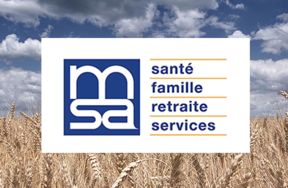 Reims La Marne Viticole La FNSEA et JA en tête des élections à la MSA La grande majorité des délégués cantonaux des collèges 1 et 3 sont issus du syndicalisme majoritaire. Le scrutin a cependant été marqué par une abstention en forte hausse.