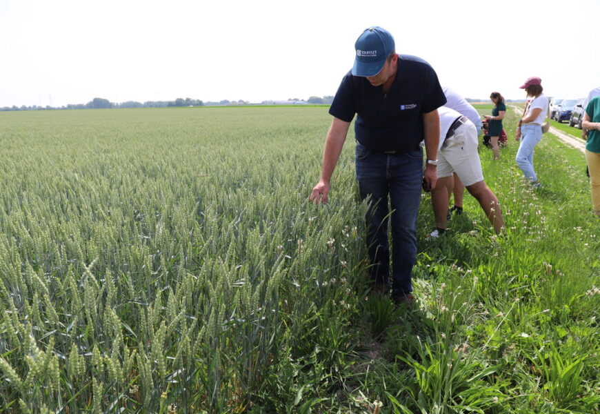 Marne : Soufflet Agriculture propose le modèle GreenLeaf