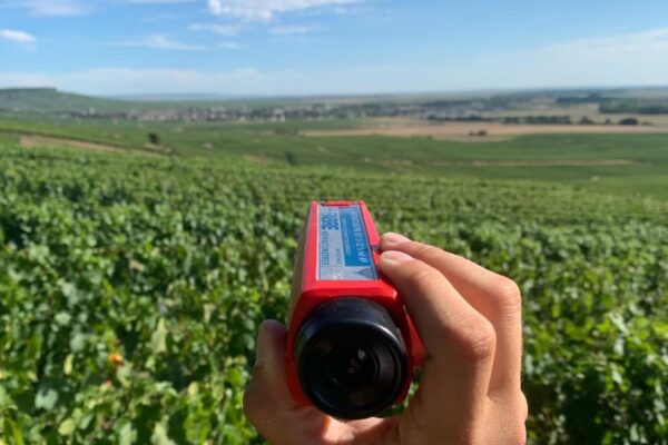 Champagne, vendanges à Vertus : l’enthousiasme de la famille Colin