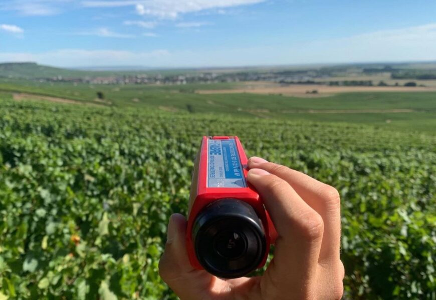 Champagne, vendanges à Vertus : l’enthousiasme de la famille Colin