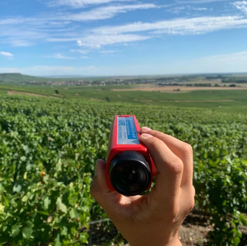 Reims La Marne Viticole Vertus : l’enthousiasme de la famille Colin Le domaine Colin ne s’est pas laissé surprendre par une vendange relativement précoce. Le travail en amont a porté ses fruits en vue du millésime 2025.