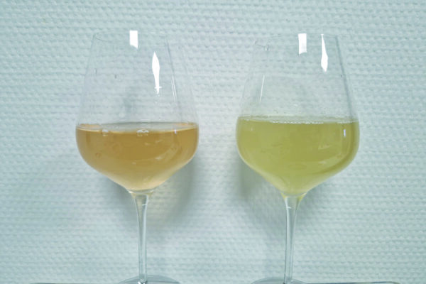 Marne : vins 2025, une dégustation très prometteuse Marne : vins 2025, une dégustation très prometteuse