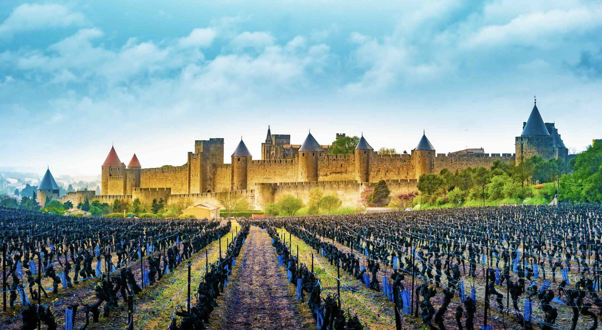 Reims La Marne Viticole Viticulture : un plan de sauvegarde pour la filière française À la veille du Sitevi qui a ouvert ses portes le 25 novembre, la ministre de l’Agriculture, Annie Genevard a annoncé un plan de sauvetage de la viticulture et appelé Bruxelles à mobiliser sa réserve de crise.