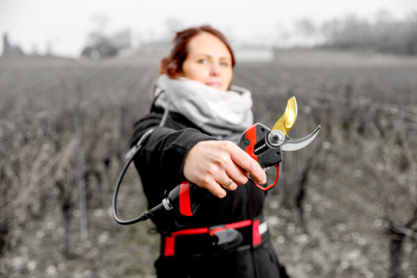 Le sécateur F3020 implanté en Champagne
