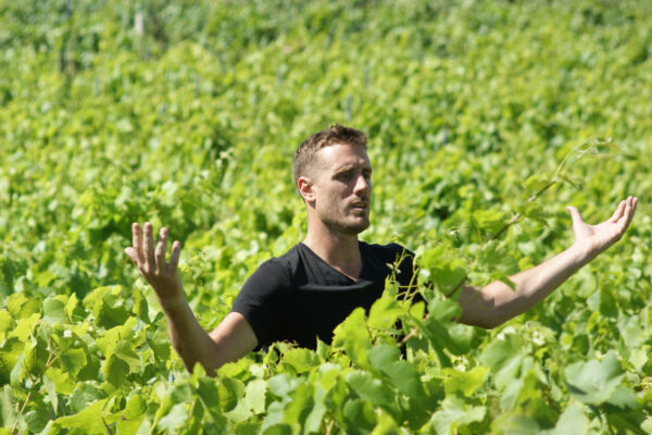 Janvry : Alexandre Lamblot, respectueux de la vigne Janvry : Alexandre Lamblot, respectueux de la vigne