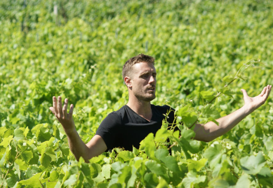 Janvry : Alexandre Lamblot, respectueux de la vigne Janvry : Alexandre Lamblot, respectueux de la vigne