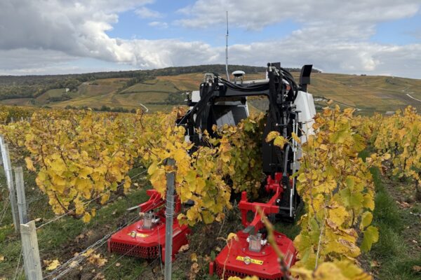 Marne : Yanmar annonce deux nouveautés majeures pour son robot YV01 Marne : Yanmar annonce deux nouveautés majeures pour son robot YV01