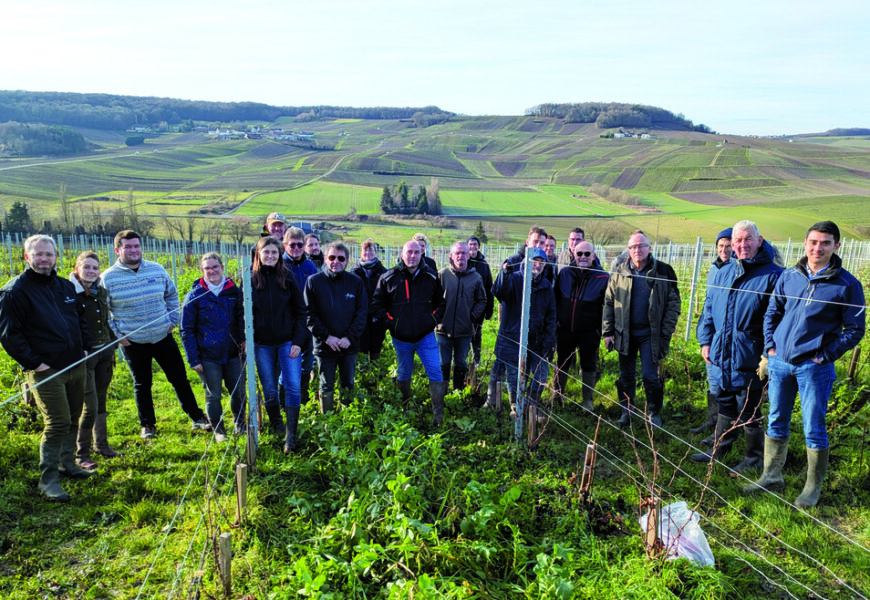 Marne : les spécificités et atouts de la taille en pieds montés Marne : les spécificités et atouts de la taille en pieds montés