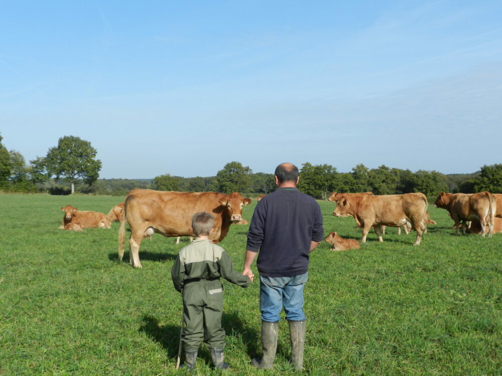 Reims La Marne Viticole Châlons : France Services Agriculture, le nouveau guichet unique de la Loi d'orientation agricole La Marne, un des départements test sur la transmission à la recherche de candidats ! « France Services Agriculture » (FSA) est le nouveau dispositif à venir pour l’Agriculture, issu de la Loi pour la souveraineté alimentaire et le renouvellement des générations agricoles, promulguée le 24 mars 2025.