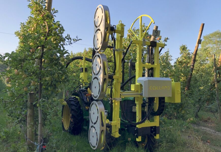 Bouzy : effeuiller avec efficacité