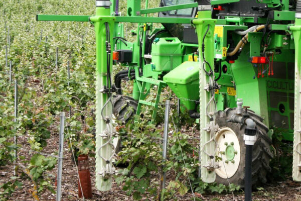 Marne : Phyteis, “trouver un cadre réglementaire cohérent”