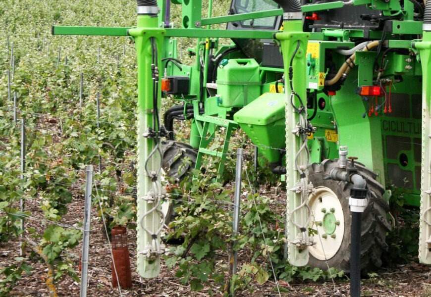 Marne : Phyteis, “trouver un cadre réglementaire cohérent”
