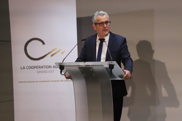 Chouilly : faire face au vieillissement de la vigne et maintenir l’engagement collectif Chouilly : faire face au vieillissement de la vigne et maintenir l’engagement collectif