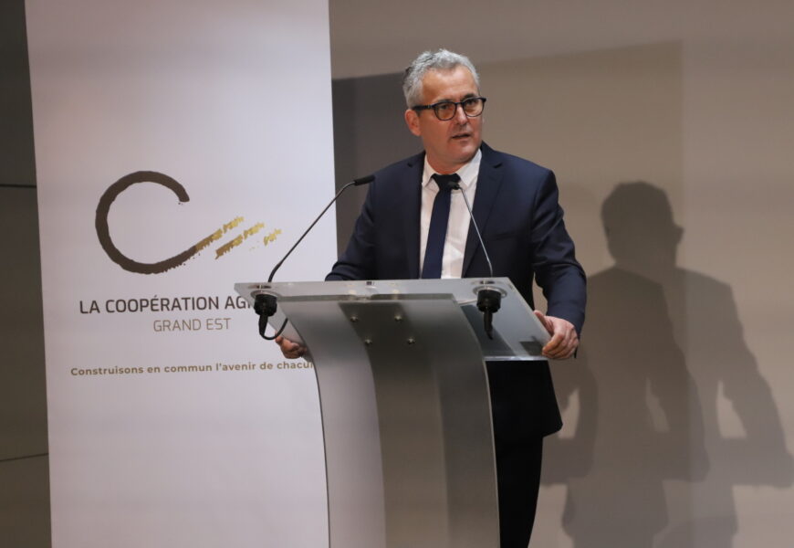 Chouilly : faire face au vieillissement de la vigne et maintenir l’engagement collectif