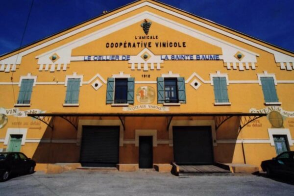 Coopératives viticoles : le plan de la dernière chance ?