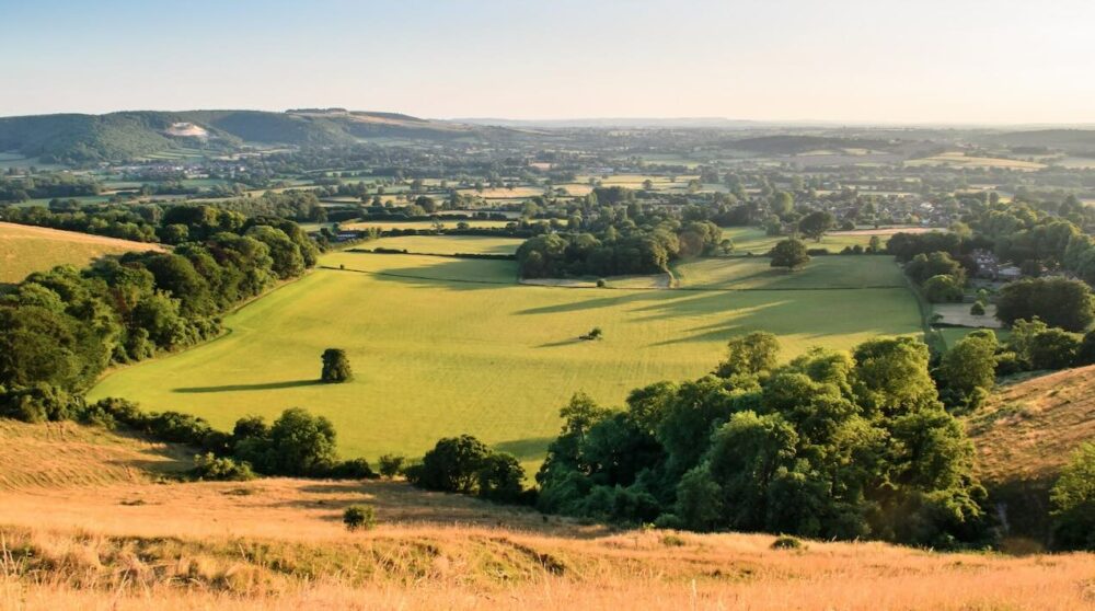 Reims La Marne Viticole Les propriétaires ruraux acteurs du renouvellement des générations Réunie à Rouen les 12 et 13 mars 2026, la Section nationale des propriétaires ruraux (SNPR) de la FNSEA a affiché sa détermination. Entre renouvellement de son équipe dirigeante et dénonciation d'un cadre législatif jugé sclérosant, les propriétaires entendent s'affirmer comme des acteurs « prêts et responsables » face aux mutations de l'agriculture française.