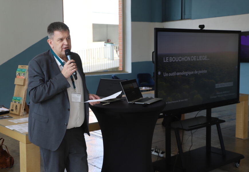 Aÿ-Champagne : un bouchon écologique et qui garde en souplesse Aÿ-Champagne : un bouchon écologique et qui garde en souplesse