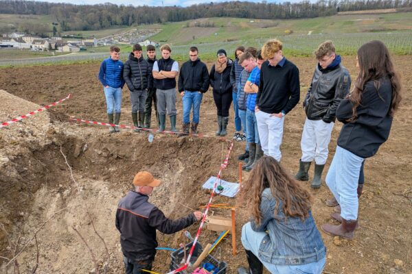 Avize, sol et fertilisation : analyser et s’adapter