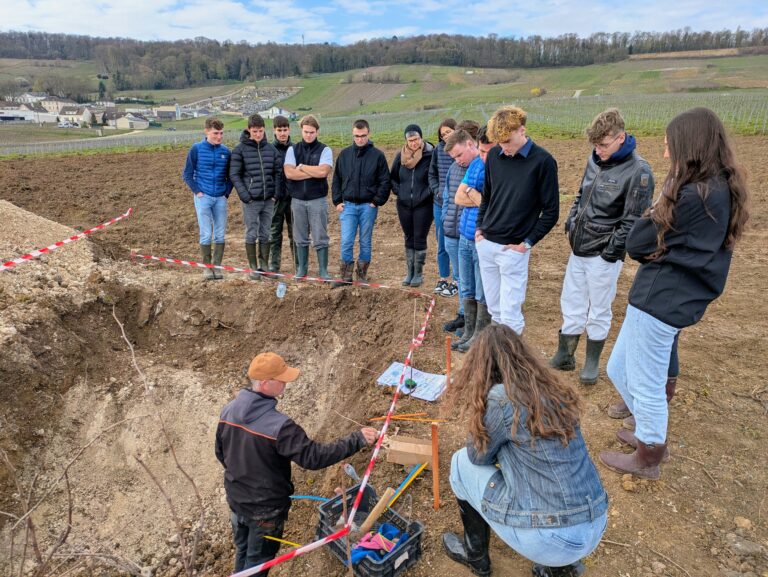 Reims La Marne Viticole Avize, sol et fertilisation : analyser et s’adapter Les formations sur le sol et la fertilisation permettent aux professionnels de mieux comprendre les spécificités de terroirs et d’adapter leurs pratiques culturales. Il s’agit toujours d’œuvrer pour la production de raisins de qualité.