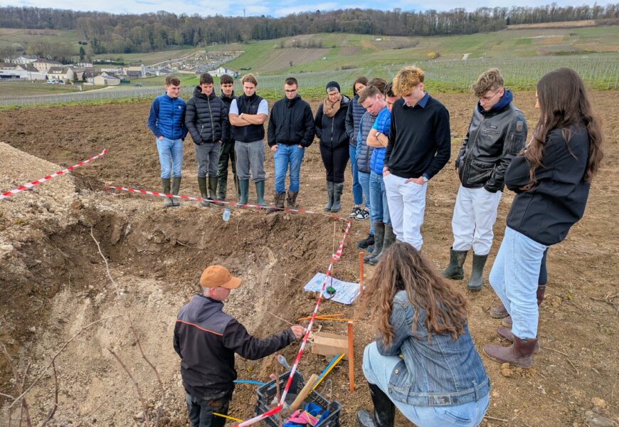 Avize, sol et fertilisation : analyser et s’adapter