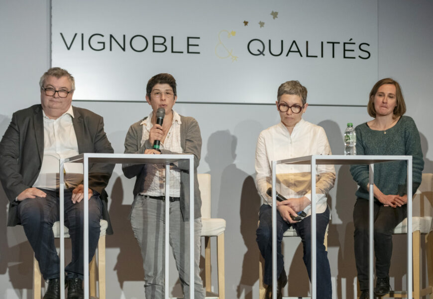 Marne : comment mieux détecter et combattre la flavescence ?