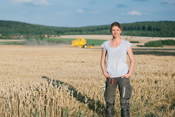 Grand Est : quatre agriculteurs sur dix dégagent un résultat inférieur au Smic