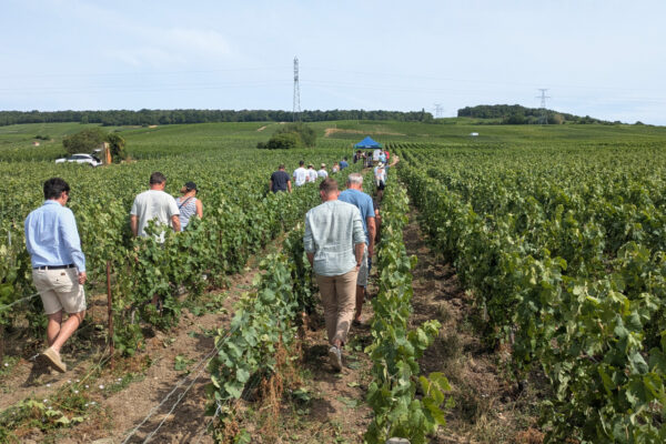 Damery : innovations et solutions durables pour stimuler et protéger la vigne Damery : innovations et solutions durables pour stimuler et protéger la vigne