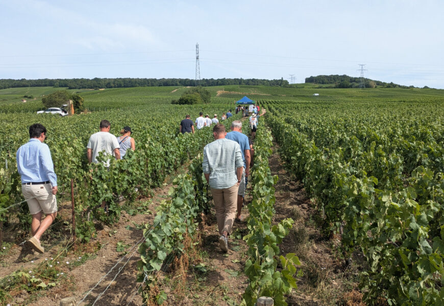 Damery : innovations et solutions durables pour stimuler et protéger la vigne